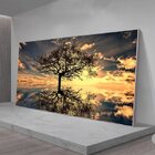 Quadro Decorativo Paisagem Grande Árvore Da Vida Com Moldura