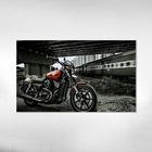 Quadro Decorativo Paisagem Moto E Trem