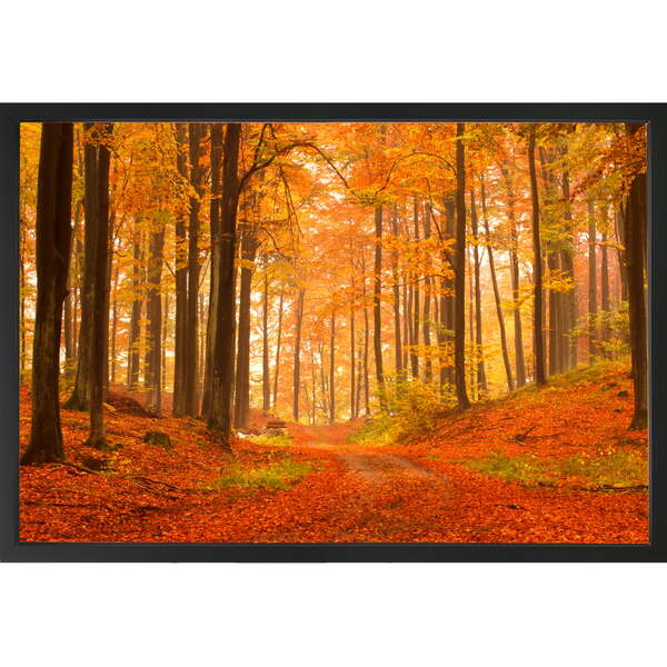 Quadro Decorativo Paisagem Outono Moldura Sem Vidro Preto