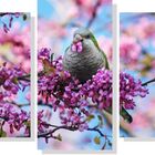 Quadro Decorativo Paisagem Pássaro Na Flor 5 Peças