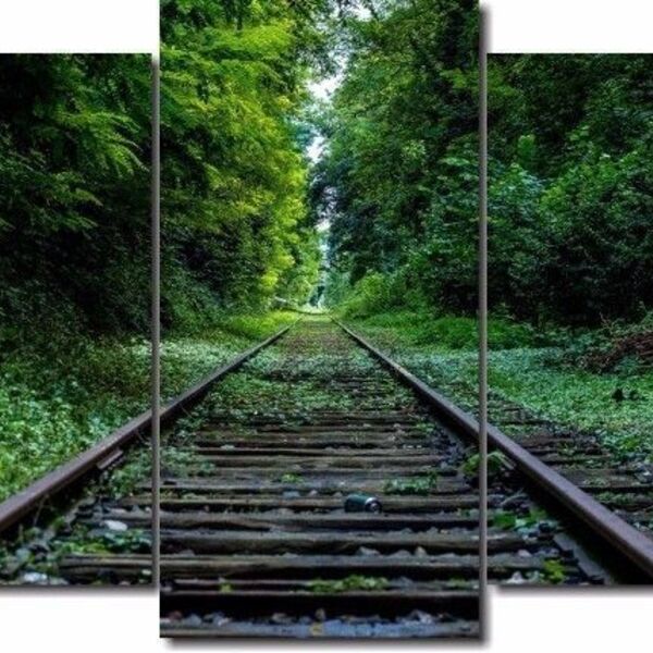 Quadro Decorativo Paisagem Trilho Do Trem 5 Peças