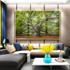 Quadro Decorativo Paisagem Velha Árvore Com Moldura Dourada E