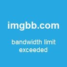 Quadro Decorativo Paisagem Velha Árvore Com Moldura Dourada E