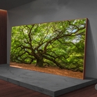 Quadro Decorativo Paisagem Velha Árvore Com Moldura Marrom 10