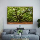 Quadro Decorativo Paisagem Velha Árvore Com Moldura Marrom 15