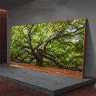 Quadro Decorativo Paisagem Velha Árvore Com Moldura Marrom 18