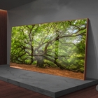 Quadro Decorativo Paisagem Velha Árvore Com Moldura Marrom E