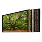 Quadro Decorativo Paisagem Velha Árvore Com Moldura Prata 90x