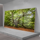 Quadro Decorativo Paisagem Velha Árvore Com Moldura Prata E V