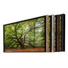 Quadro Decorativo Paisagem Velha Árvore Com Moldura Prata E V