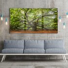 Quadro Decorativo Paisagem Velha Árvore Com Moldura Prata E V