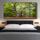 Quadro Decorativo Paisagem Velha Árvore Com Moldura Preta E V