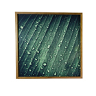 Quadro Decorativo com Vidro e Moldura de Madeira Palmeiras I Premium Verde 50x50cm