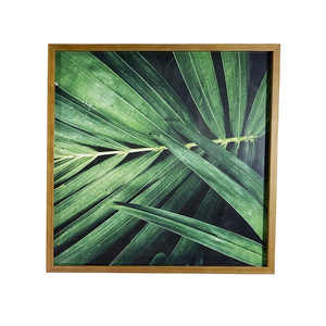 Quadro Decorativo com Vidro e Moldura de Madeira Palmeiras ...
