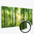 Quadro Decorativo Panorâmico Grande Paisagem Floresta Verde