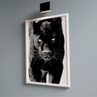 Quadro Decorativo Pantera
