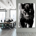 Quadro Decorativo Pantera