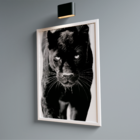Quadro Decorativo Pantera