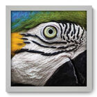 Quadro Decorativo - Papagaio - 33cm X 33cm - 185qdsb