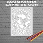 Quadro Decorativo Para Colorir Beija Flor 33x24cm - Com Vidro