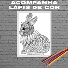 Quadro Decorativo Para Colorir Coelho 33x24cm Moldura:madeira