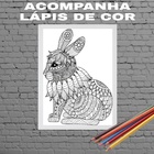 Quadro Decorativo Para Colorir Coelho 45x34cm Moldura:madeira