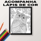 Quadro Decorativo Para Colorir Coruja 24x18cm - Com Vidro Mol