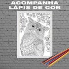 Quadro Decorativo Para Colorir Coruja 24x18cm Moldura:madeira