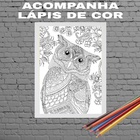 Quadro Decorativo Para Colorir Coruja 24x18cm Moldura:madeira