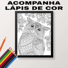 Quadro Decorativo Para Colorir Coruja 45x34cm Moldura:madeira