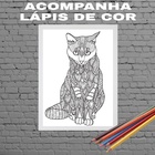 Quadro Decorativo Para Colorir Gato 24x18cm Moldura:madeira P