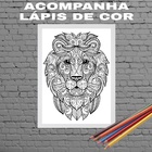 Quadro Decorativo Para Colorir Leão 24x18cm Moldura:madeira B