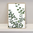 Quadro Decorativo Para Cozinha Moderna Folhagens Planta Verde