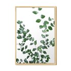 Quadro Decorativo Para Cozinha Moderna Folhagens Planta Verde