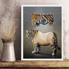 Quadro Decorativo Para Lavanderia - Tigre 33x24cm - Com Vidro