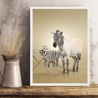 Quadro Decorativo Para Lavanderia - Zebra 45x34cm - Com Vidro