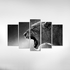 Quadro Decorativo Para Quarto E Sala Animal Onça 5 Peças