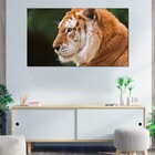 Quadro Decorativo Para Quarto E Sala Tigre Amarelo 1 Peça