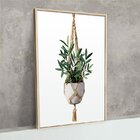 Quadro Decorativo Para Sala De Jantar Plantas Jardim Folhas V