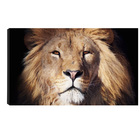 Quadro Decorativo Para Sala Quarto Escritorio 60x90cm  Face L