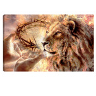 Quadro Decorativo Para Sala Quarto Escritorio 60x90cm  Leão D