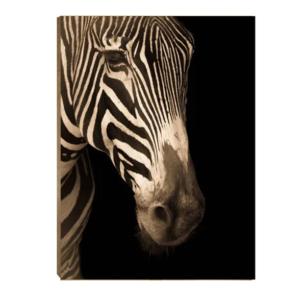 Quadro Decorativo Para Sala Quarto Escritorio 60x90cm Cabeça