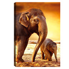 Quadro Decorativo Para Sala Quarto Escritorio 60x90cm Elefant