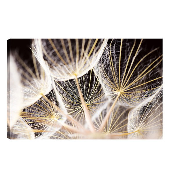 Quadro Decorativo Para Sala Quarto Escritorio 60x90cm Flor De