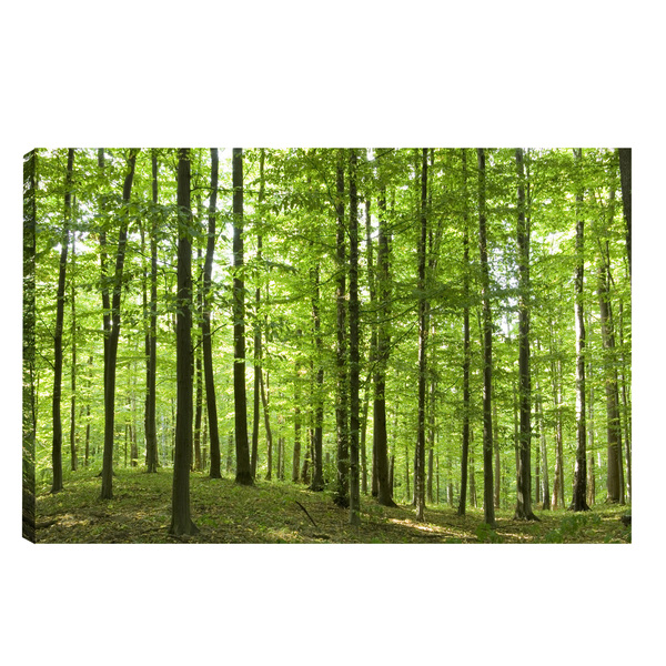 Quadro Decorativo Para Sala Quarto Escritorio 60x90cm Florest