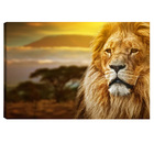 Quadro Decorativo Para Sala Quarto Escritorio 60x90cm Leão Sa