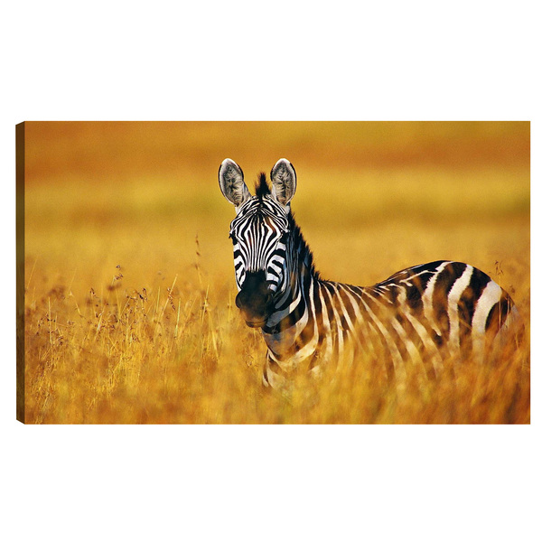 Quadro Decorativo Para Sala Quarto Escritorio 60x90cm Zebra N