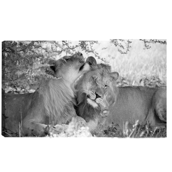 Quadro Decorativo Para Sala Quarto Escritorio 80x100cm Casal