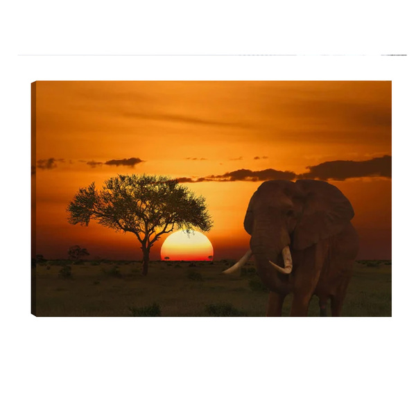 Quadro Decorativo Para Sala Quarto Escritorio 80x100cm Elefan