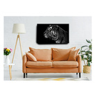 Quadro Decorativo Para Sala Quarto Escritorio 80x100cm Tigre